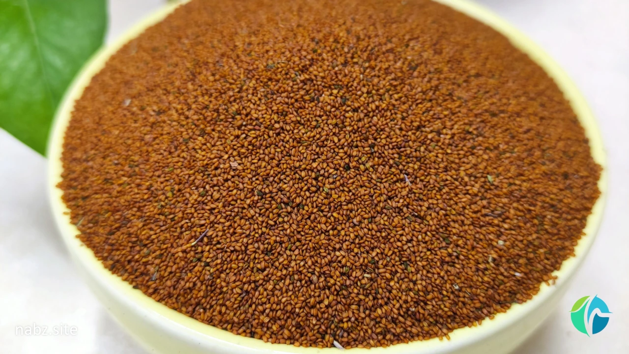 خواص خاکشیر برای کبد چرب