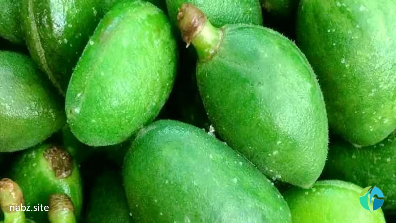 خواص چغاله بادام