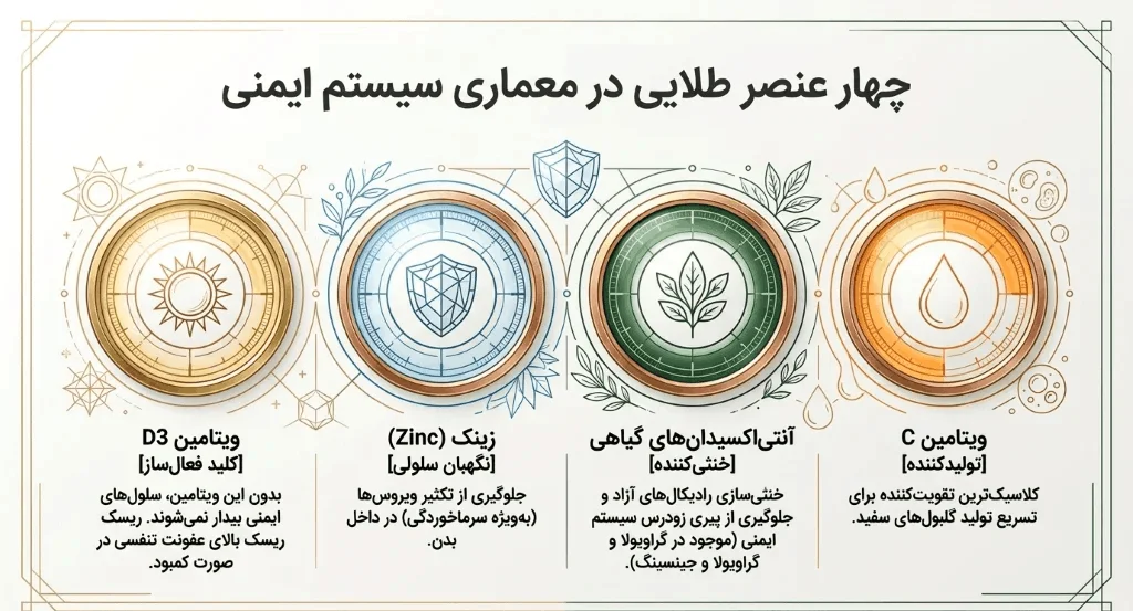 ترکیبات اصلی در مکمل تقویت سیستم ایمنی بدن
